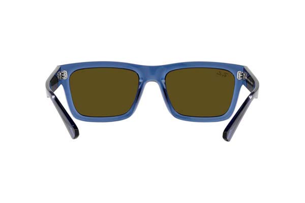 RAYBAN 4396 WARREN Occhiali da Sole 