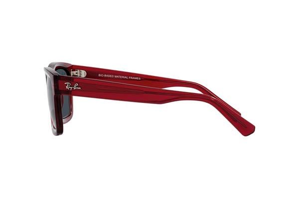 RAYBAN 4396 WARREN Occhiali da Sole 