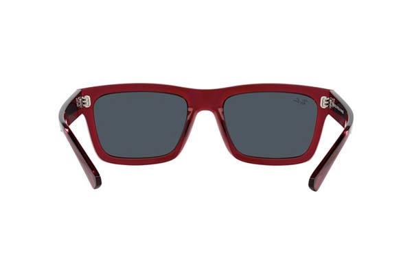 RAYBAN 4396 WARREN Occhiali da Sole 