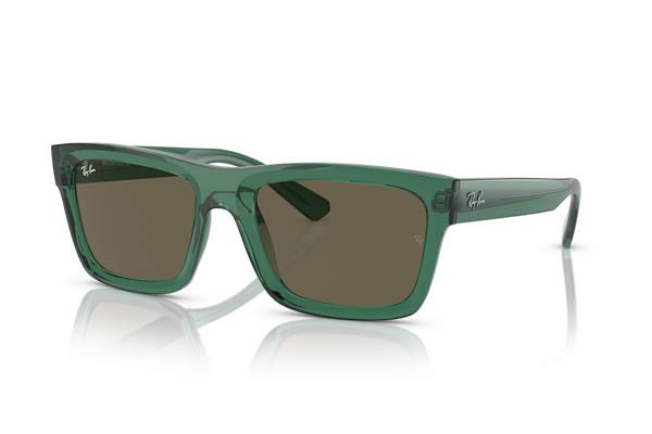 RAYBAN 4396 WARREN Occhiali da Sole 