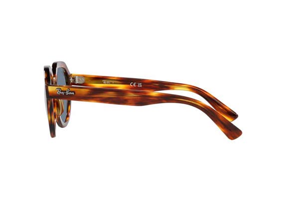 RAYBAN 4399 GINA Occhiali da Sole 
