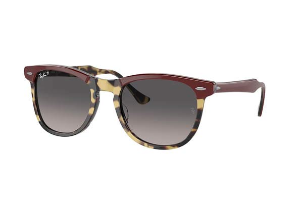 rayban 2398 EAGLEEYE Occhiali da Sole 