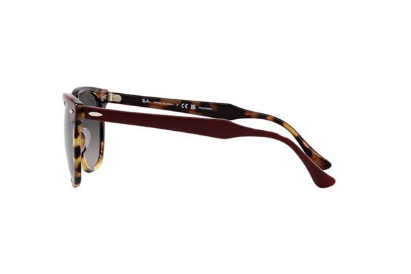 RAYBAN 2398 EAGLEEYE Occhiali da Sole 