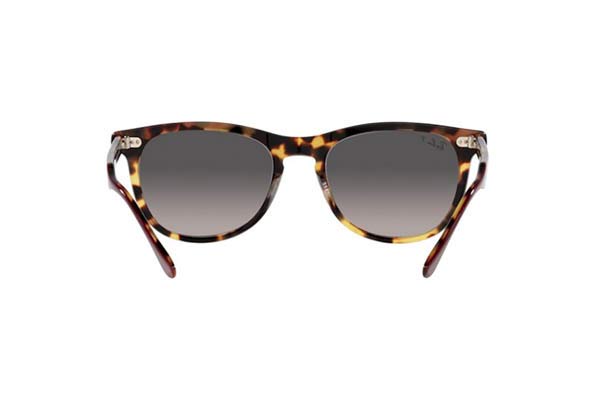 RAYBAN 2398 EAGLEEYE Occhiali da Sole 