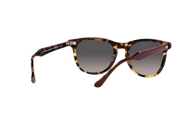 RAYBAN 2398 EAGLEEYE Occhiali da Sole 