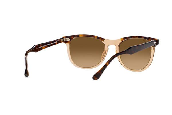 RAYBAN 2398 EAGLEEYE Occhiali da Sole 