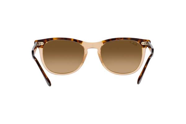 RAYBAN 2398 EAGLEEYE Occhiali da Sole 