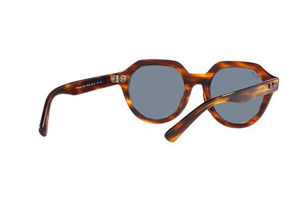 RAYBAN 4399 GINA Occhiali da Sole 