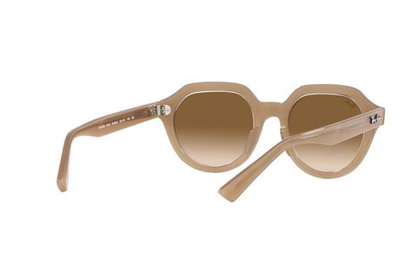 RAYBAN 4399 GINA Occhiali da Sole 