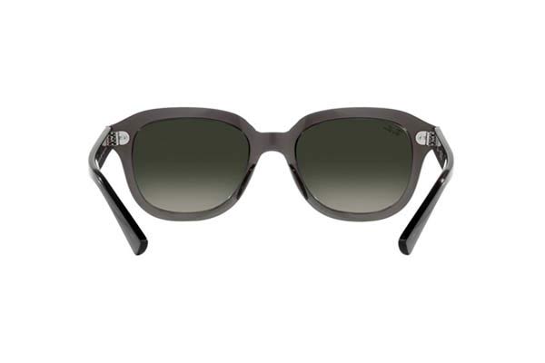 RAYBAN 4398 ERIK Occhiali da Sole 
