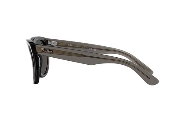 RAYBAN R0502S WAYFARER REVERSE Occhiali da Sole 
