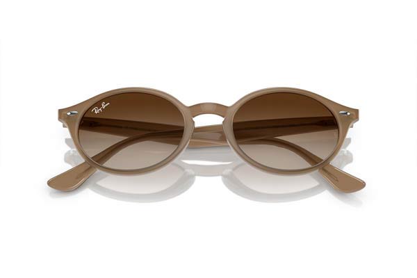 RAYBAN 4315 Occhiali da Sole 