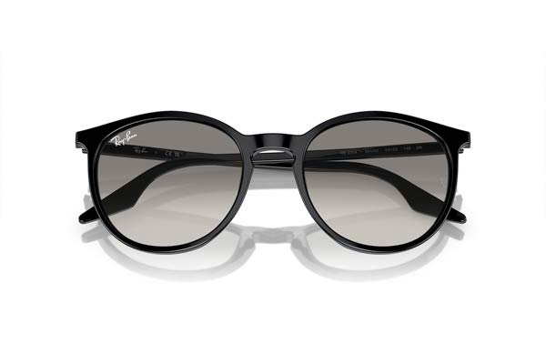 RAYBAN 2204 Occhiali da Sole 