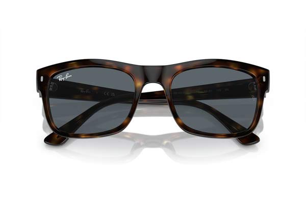 RAYBAN 4428 Occhiali da Sole 