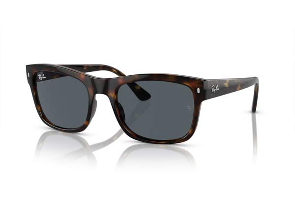 RAYBAN 4428 Occhiali da Sole 