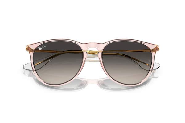 RAYBAN ERIKA 4171 Occhiali da Sole 