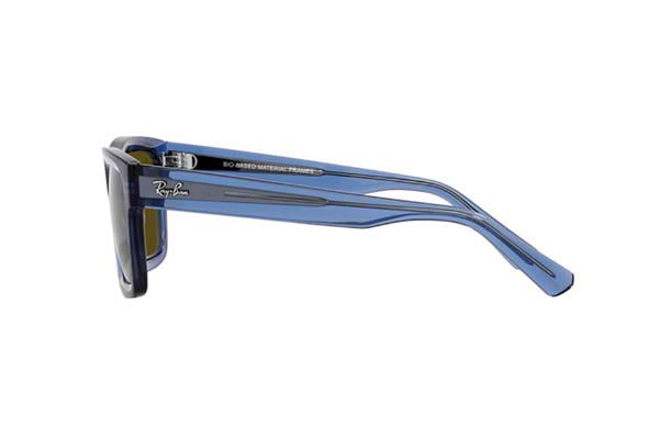 RAYBAN 4396 WARREN Occhiali da Sole 