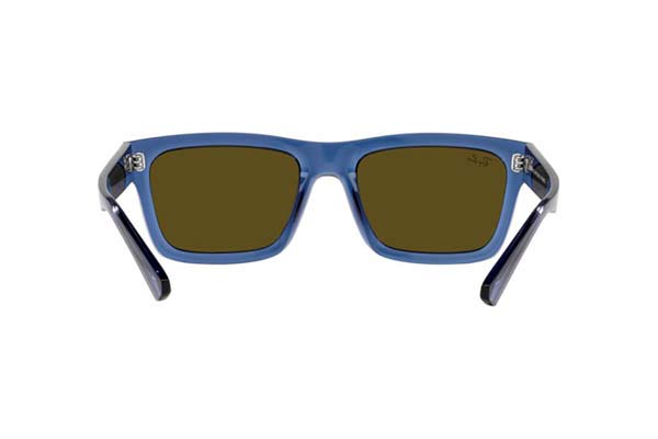 RAYBAN 4396 WARREN Occhiali da Sole 