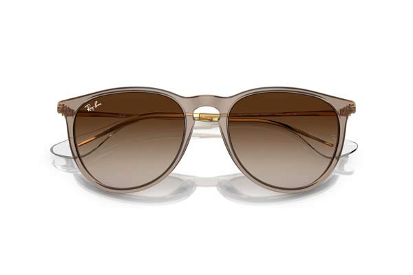 RAYBAN ERIKA 4171 Occhiali da Sole 
