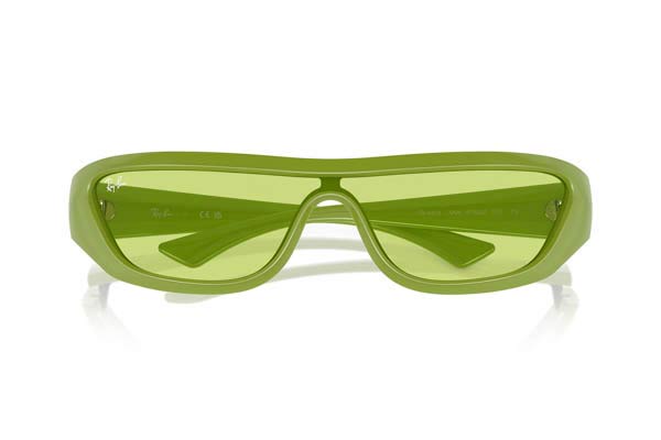 RAYBAN 4431 XAN Occhiali da Sole 