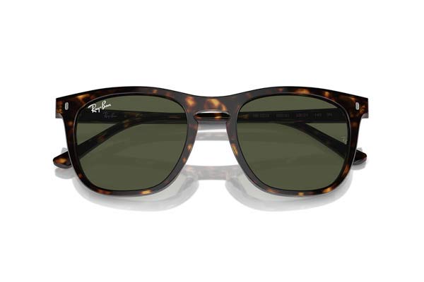 RAYBAN 2210 Occhiali da Sole 