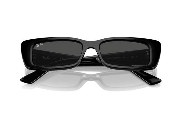 RAYBAN 4425 TERU Occhiali da Sole 