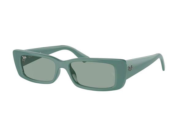 rayban 4425 TERU Occhiali da Sole 