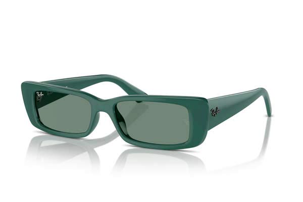 RAYBAN 4425 TERU Occhiali da Sole 