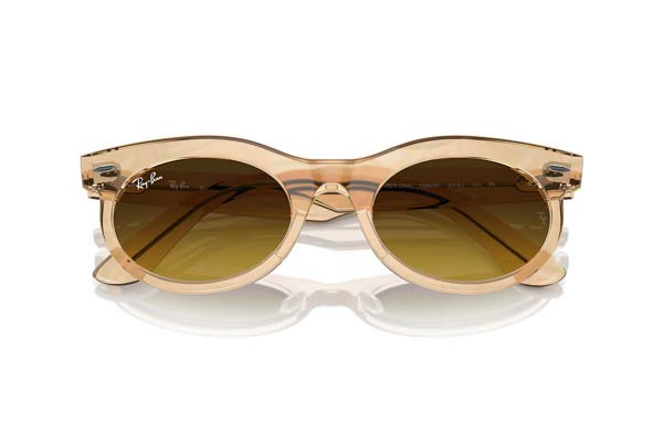 RAYBAN 2242 WAYFARER OVAL Occhiali da Sole 