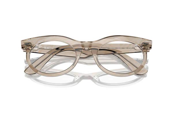 RAYBAN 2242 WAYFARER OVAL Occhiali da Sole 