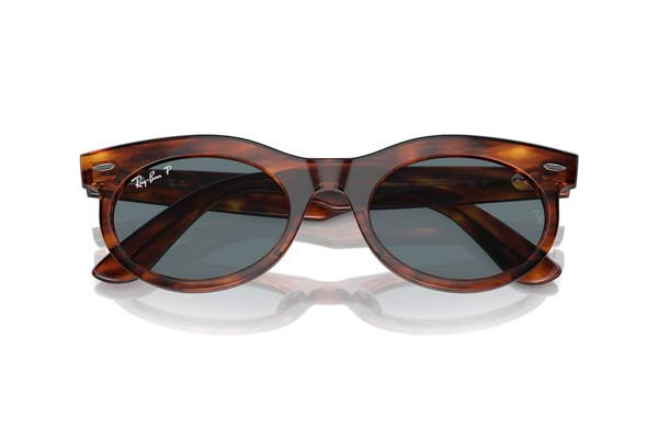 RAYBAN 2242 WAYFARER OVAL Occhiali da Sole 