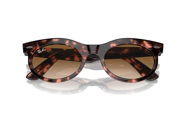 RAYBAN 2242 WAYFARER OVAL Occhiali da Sole 
