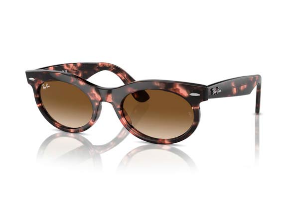 RAYBAN 2242 WAYFARER OVAL Occhiali da Sole 