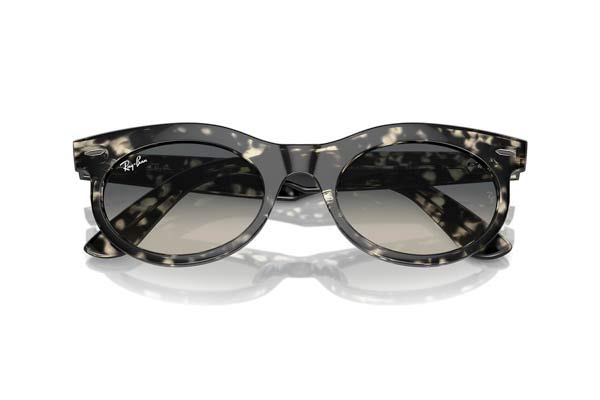 RAYBAN 2242 WAYFARER OVAL Occhiali da Sole 