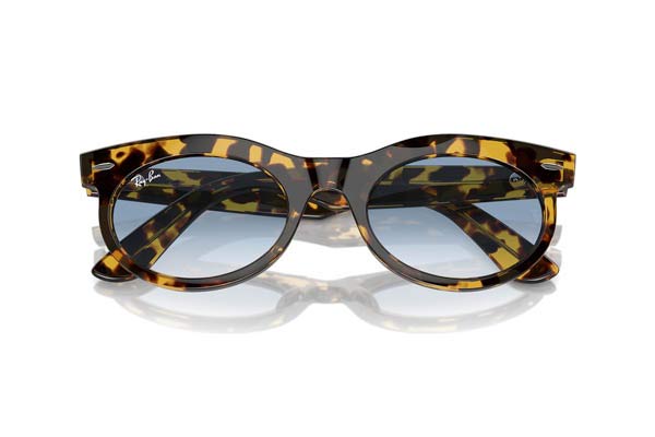 RAYBAN 2242 WAYFARER OVAL Occhiali da Sole 
