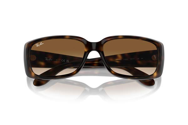 RAYBAN 4389 Occhiali da Sole 