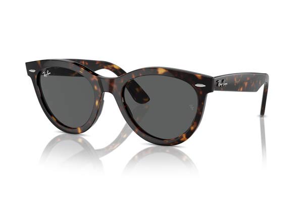 RAYBAN 2241 WAYFARER WAY Occhiali da Sole 