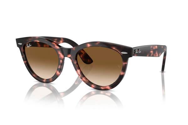 RAYBAN 2241 WAYFARER WAY Occhiali da Sole 