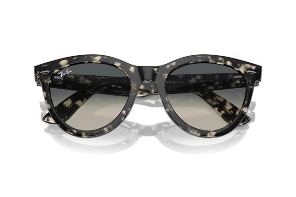 RAYBAN 2241 WAYFARER WAY Occhiali da Sole 