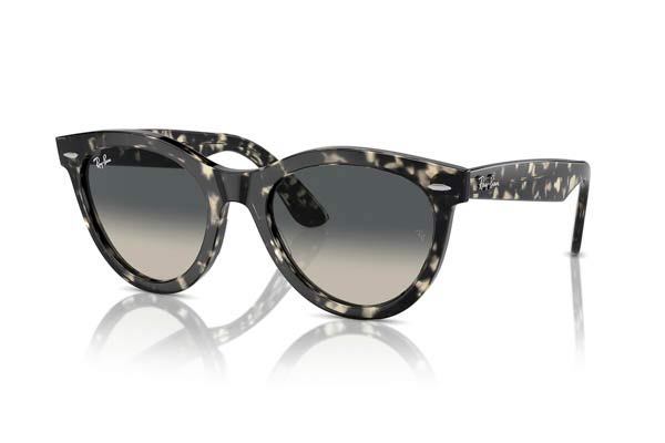 RAYBAN 2241 WAYFARER WAY Occhiali da Sole 