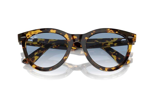 RAYBAN 2241 WAYFARER WAY Occhiali da Sole 