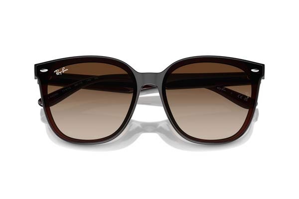 RAYBAN 4423D Occhiali da Sole 