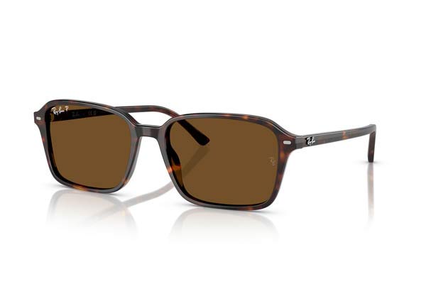RAYBAN 2231 RAIMOND Occhiali da Sole 