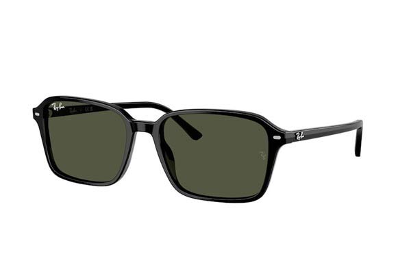 rayban 2231 RAIMOND Occhiali da Sole 