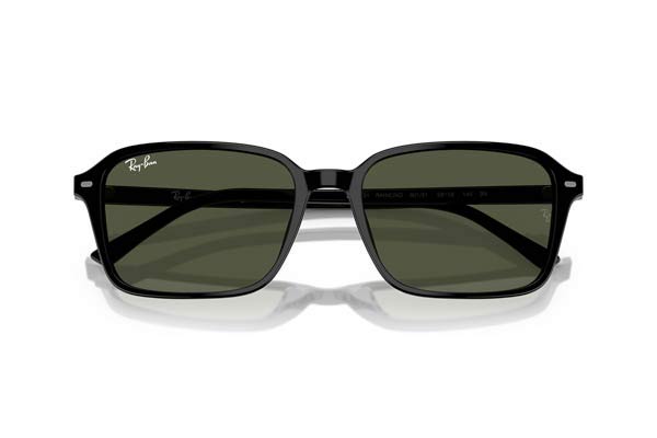 RAYBAN 2231 RAIMOND Occhiali da Sole 