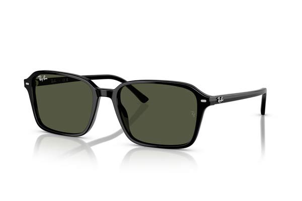RAYBAN 2231 RAIMOND Occhiali da Sole 
