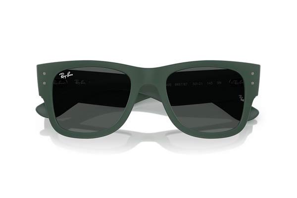 RAYBAN 4840S Occhiali da Sole 