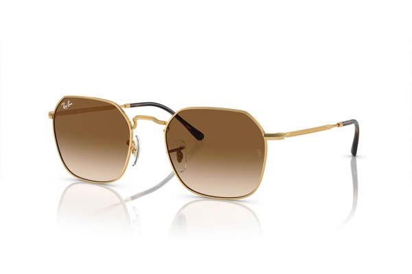 RAYBAN 3694 JIM Occhiali da Sole 