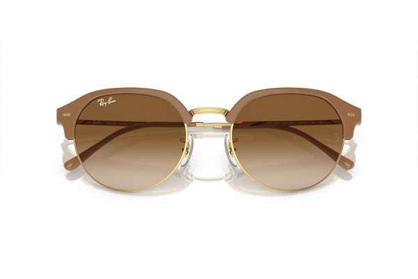RAYBAN 4429 Occhiali da Sole 