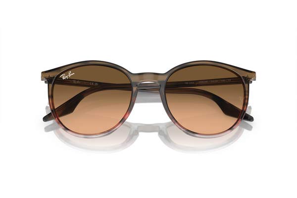 RAYBAN 2204 Occhiali da Sole 